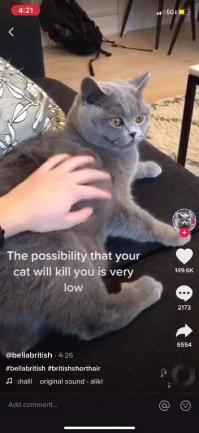 Maybe Maybe Maybe
