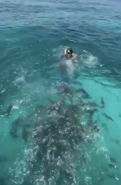 FEEDING TIME BOYS