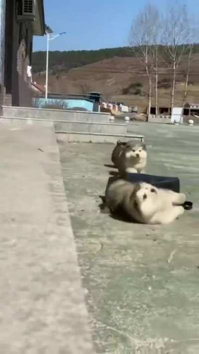 maybe maybe maybe