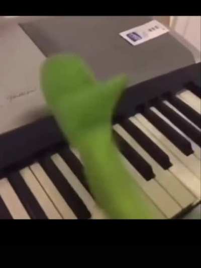 Amazing piano