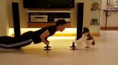 Best workout buddy ??