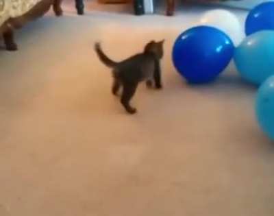 Pop?
