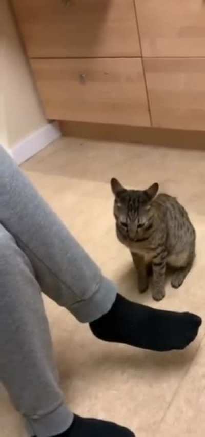 "Without warning, I will attack you. In this way, I will keep you vigilant and alert"