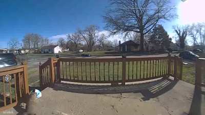 Groundhog Steals My Amazon Package