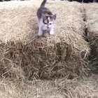 i believe i can fly