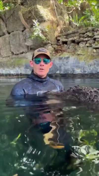 ? Why an alligator will kill you