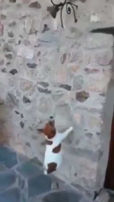 I know you’re in there.