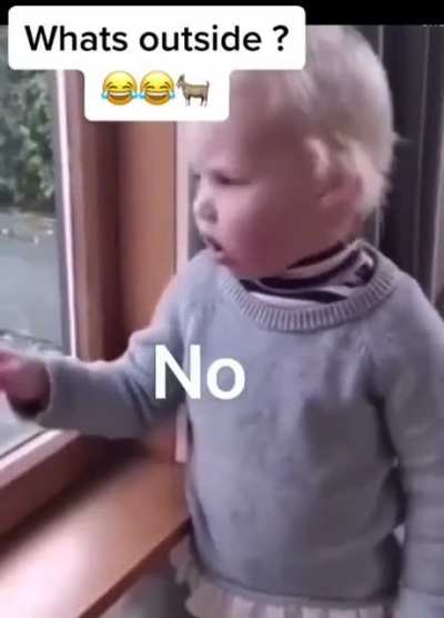 How I would imagine a Baby Gordon Ramsay would sound.