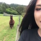 Not without me!
