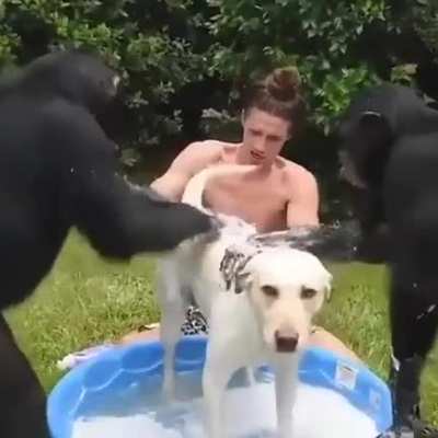 bath time