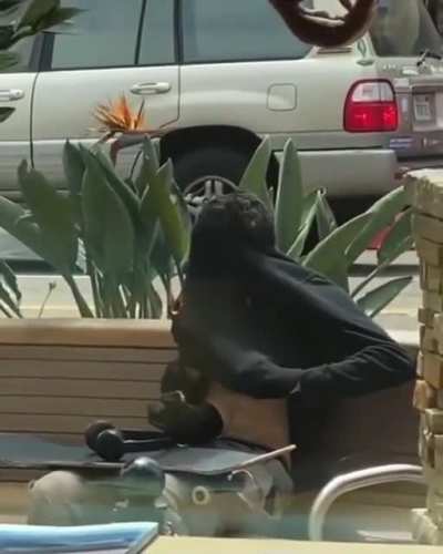 trying to smoke in public fail?