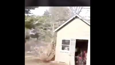 Jumping on trampoline with skateboard