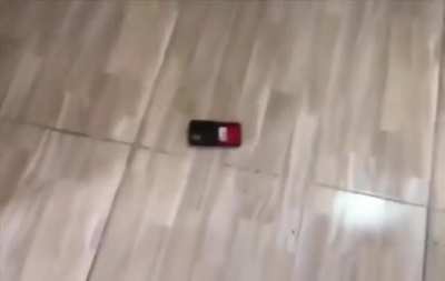 A prank gone wrong