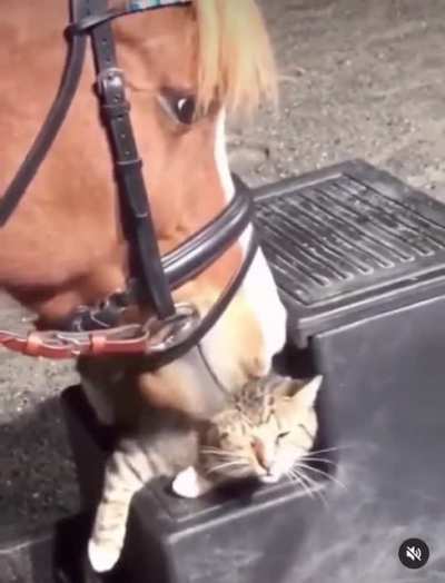 That’s The Spot