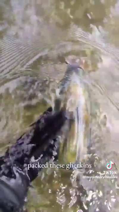 Mudlarker finds an intact bottle of pickles that’s at least 114 years old at the bottom of a river