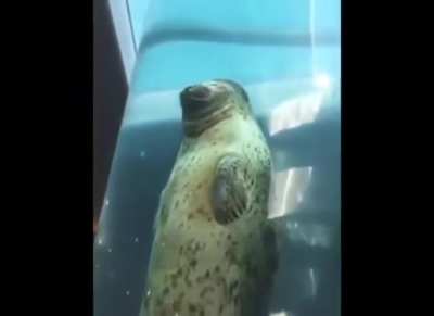 "You must continue your journey without me. I've taught you everything I know..."