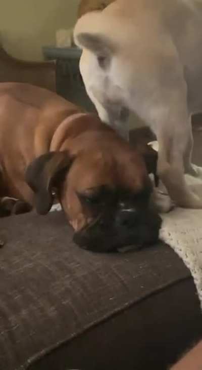 She is not having it??