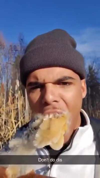Forbidden corn dog