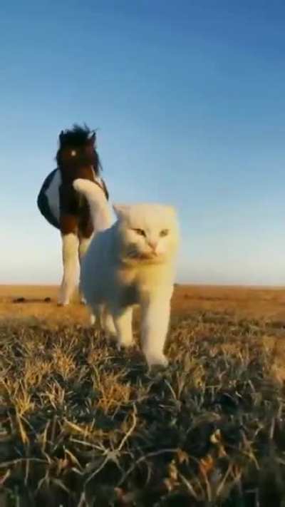 These two bros.