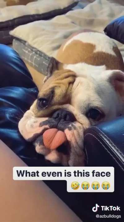 Lucy said ???