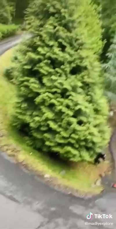 Making noise to scare off a bear