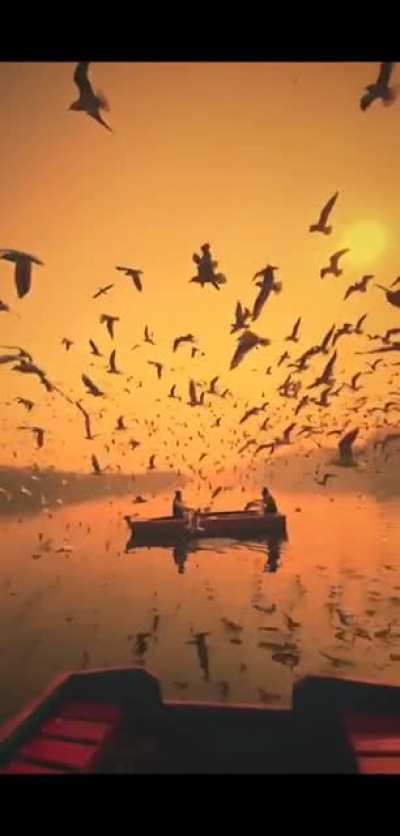 India in all it's glory! Video by @nirmal_kharayat on IG.