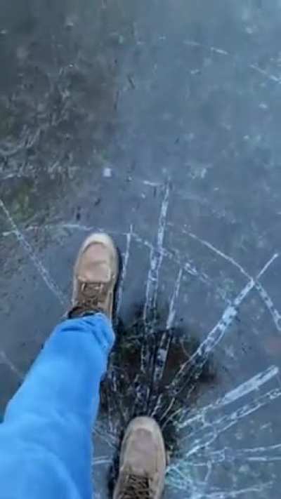 Almost fell in... oh wait.