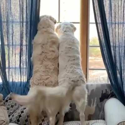 Being on the same page