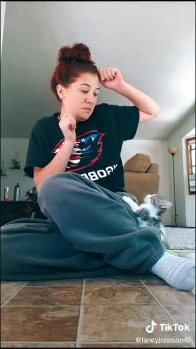 Cat attack