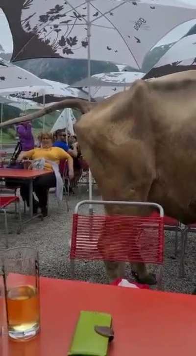 "Have a drink on me"