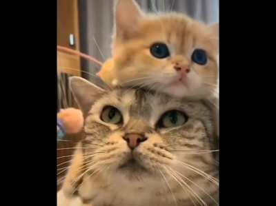 lol "mother and daughter"