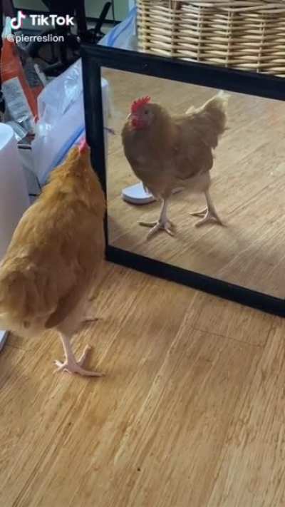 When you lose a fight against yourself