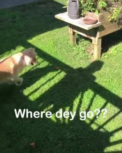 So little is needed for fun?