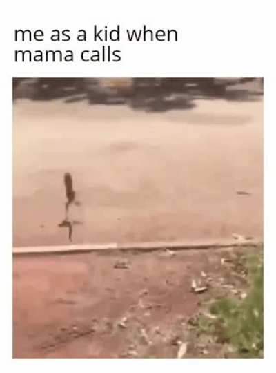 Run, little one!