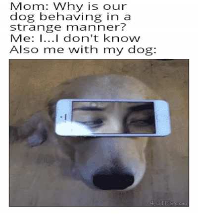 I think it's time to stop