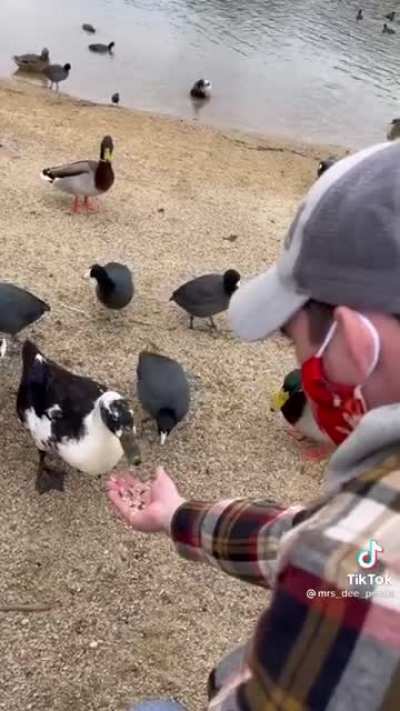 Getting a feed