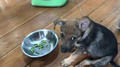 Green bean is my favorite snack.??