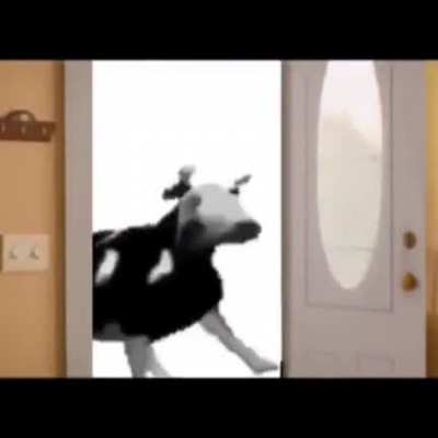 Spider-Man into the Spider verse