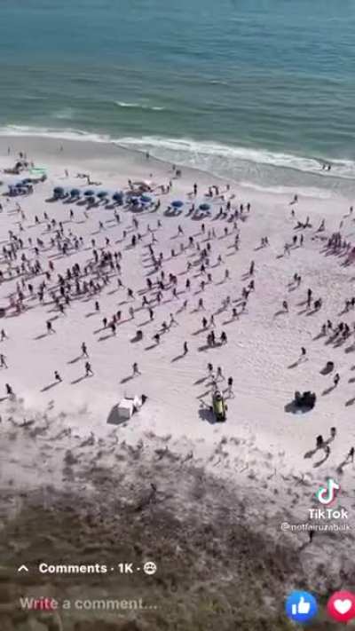 Spring breakers in Panama City beach flee en masse when police bring a drug dog to the beach