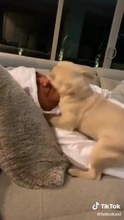 You must pet her