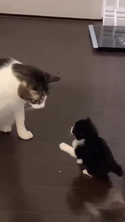 Learned behavior