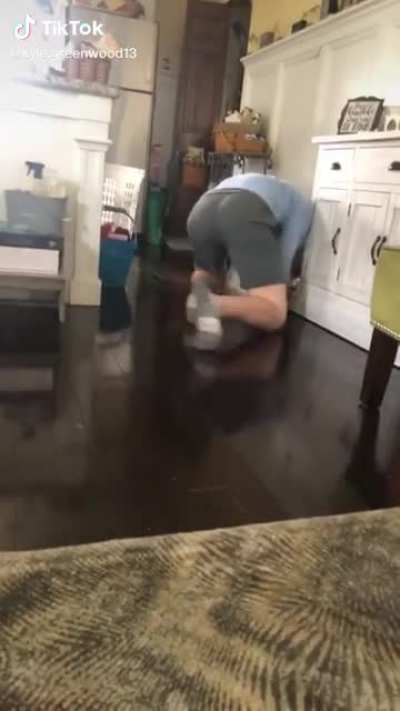 Traying to eat dogs food