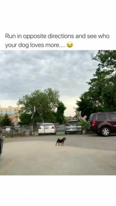 He's actually trying to run in Both direction once ???