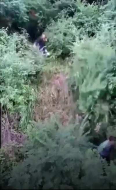 Never seen a more adequate video to post on here, I still don’t know what’s going on