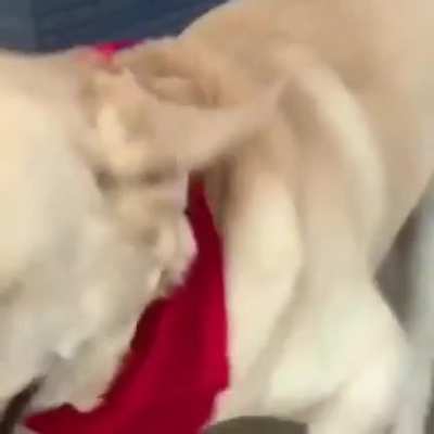 awww