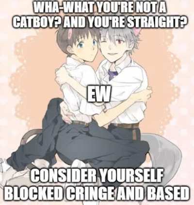 Catboys rise