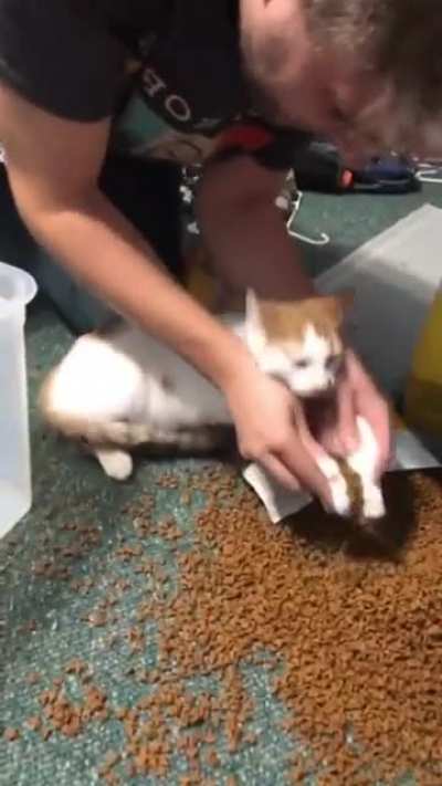 You did it. You're HELPING.?