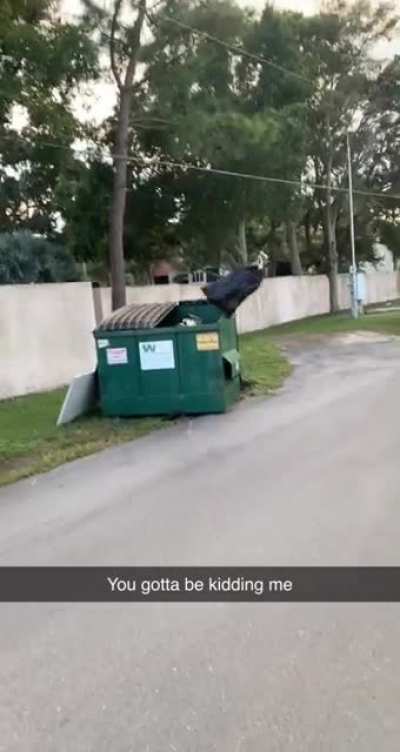 At least the bag went in...