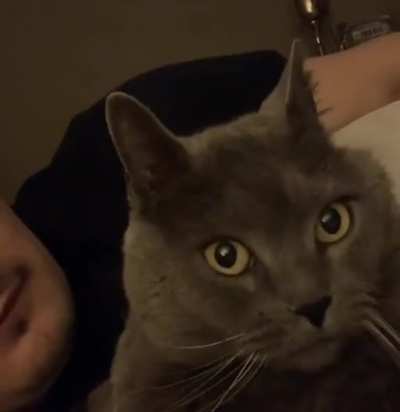 Did… did that motherfucker just lick me?!
