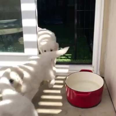 Incoming